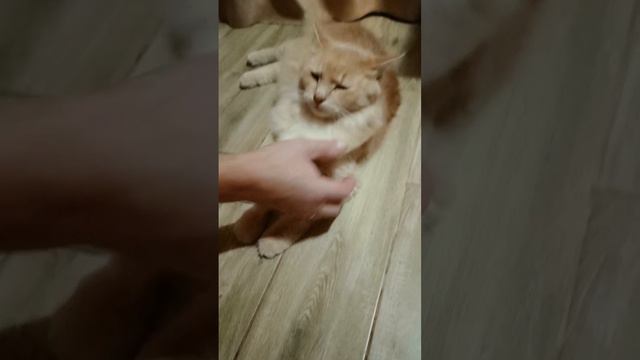 Кто в доме хозяин и господин ?