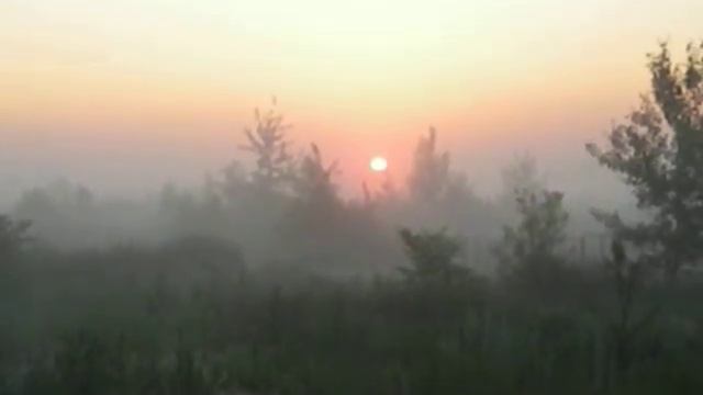 Дача восход смотреть онлайн