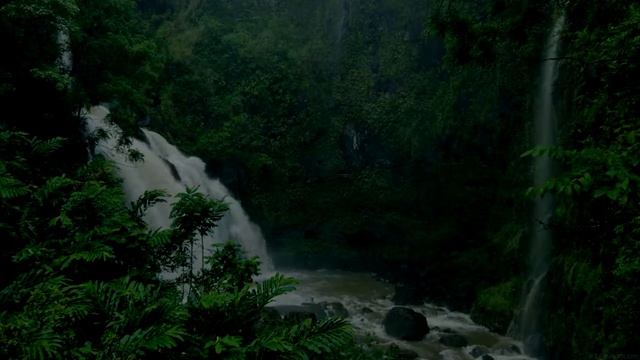 Музыка для сна со звуками дождя и природы - расслабить ум смотреть онлайн