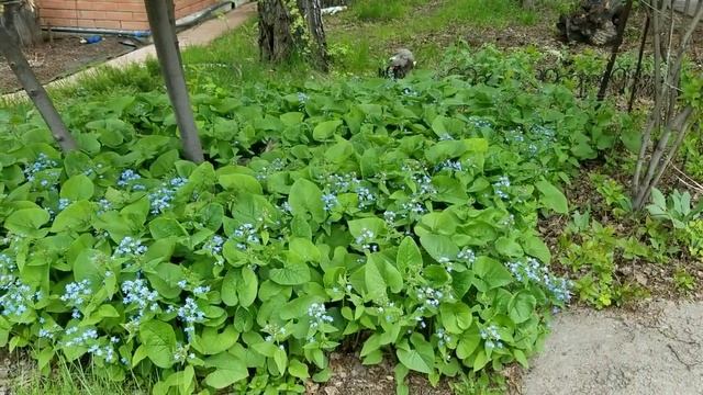 Садовый декор. Украшение на даче. смотреть онлайн