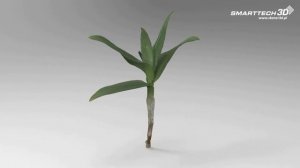 SMARTTECH3D - plants digitalization