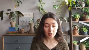Мой ОПЫТ выращивания АНТУРИУМА КЛАРИНЕРВИУМА / Мох СФАГНУМ вместо ГРУНТА