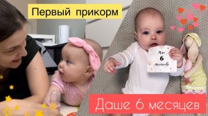 Даше 6 месяцев  Первый прикорм