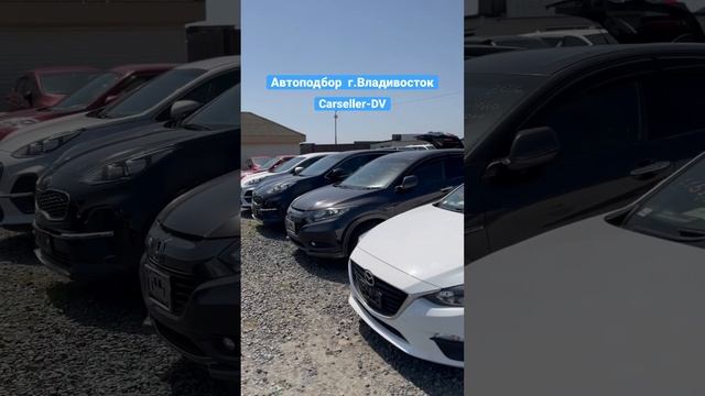 Автоподбор город Владивосток , Carseller.dv , Hyundai Santa-fe , Palisade, Toyota , Honda