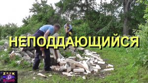 Неподдающийся