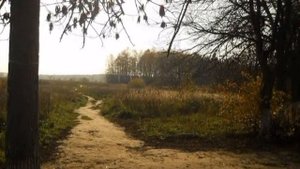 Нивы сжаты, рощи голы  Песня на стихи Сергея Есенина