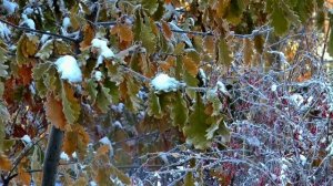 14 Января Народный праздник Васильев День, Старый Новый Год. Народные запреты, приметы и обряды.