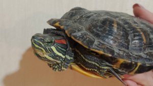 Как открыть фильтр AQUAEL