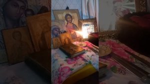 Половые органы порча