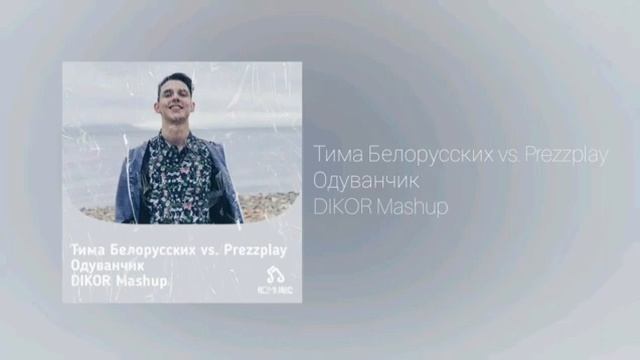 Текст тимы белорусских одуванчик