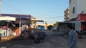 Автобус Хургада-Люксор