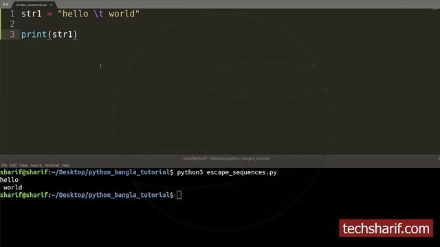 Bangla Python Tutorial - 08.02 - Escape Sequence смотреть онлайн