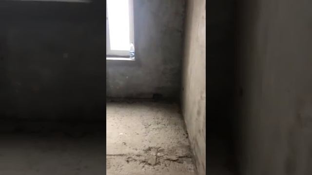 4х комнатная квартира 100 квадратов
