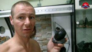 окаменелость (дичь)