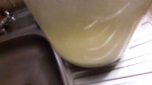 Ставим бражку из черешни.