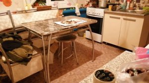 как отучить лазить по столу кошек.