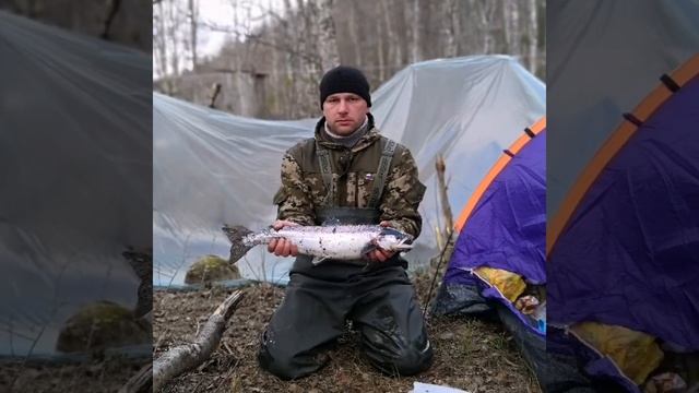 Рыбалка на Кольском полуострове река варзуга 2019 смотреть онлайн