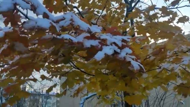 Одинаковые сны смотреть онлайн