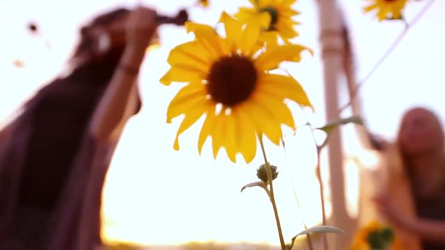 River Flows In You- Lindsey Stirling