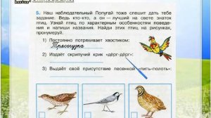 Задание 5 Жизнь луга - Окружающий мир 4 класс (Плешаков А.А.) 1 часть