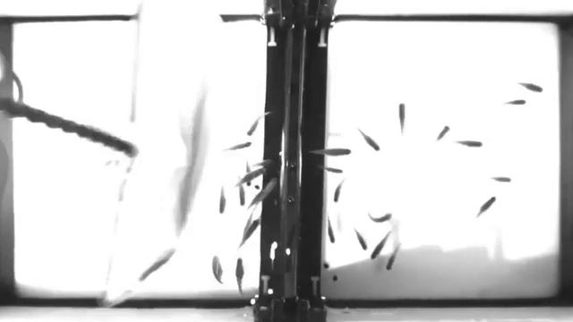 Fish evacuation смотреть онлайн