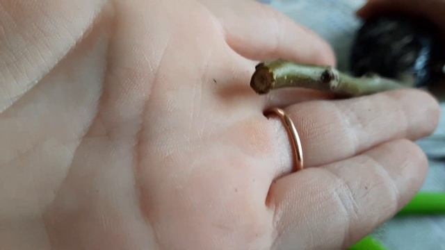 Весна 2021. Посылка от Agro-Market24 смотреть онлайн