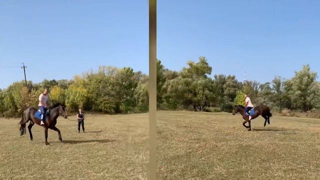 ПРОГУЛКА на лошадях /верховая езда/купание верхом смотреть онлайн