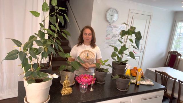 29 апреля 2023 г. смотреть онлайн