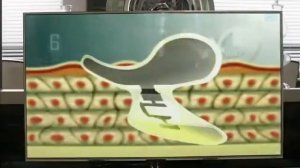 Городской охотник 15 серия