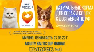 Agility Baltic cup финал 27.03.2022 г. (выпуск №1)