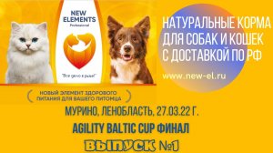 Agility Baltic cup финал 27.03.2022 г. (выпуск №1)