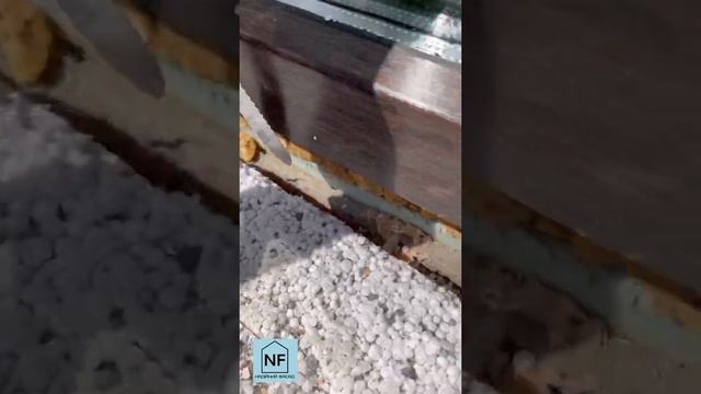 Дефектовка и Утепление откосов и подоконника.@nadiiniifasad смотреть онлайн