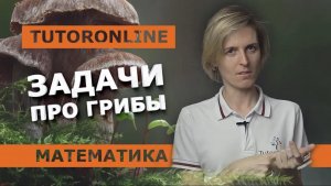 Математика.  Задача про грибы