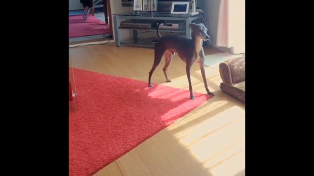 Мой проект смотреть онлайн