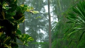 дуа благодарности Аллаху - дуа на каждое утро - дуа для богатства - дуа утромдуа успеха