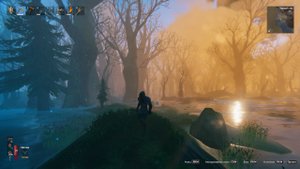 Нашёл болото в Valheim.