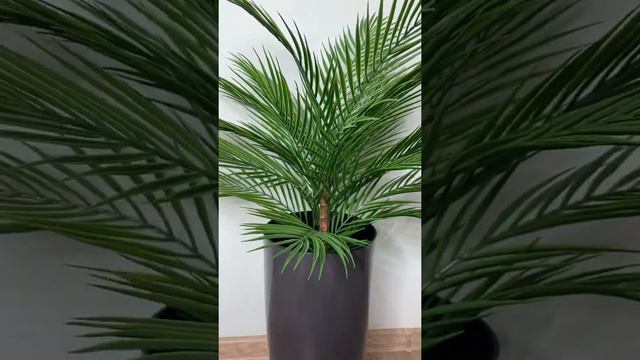 Искусственная пальма на натуральном стволе в наличии и на заказ. смотреть онлайн