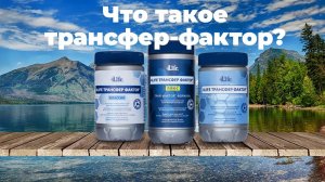 Что такое трансфер фактор? Документы и факты!