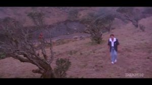 Tu meri rani mai raja tera || Lootere movie song || Sanny deol & juhi chawla mai teri rani tu
