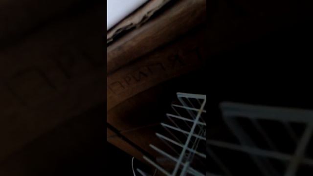 белка дегу Ева пищит смотреть онлайн