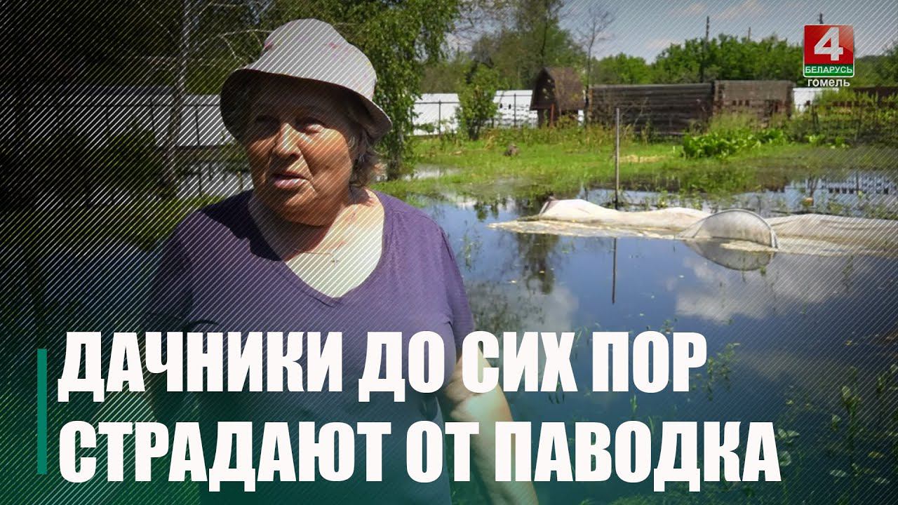 «Вот таки у нас кайф». Дачники товарищества «Цыкуны» до сих пор страдают от паводка смотреть онлайн