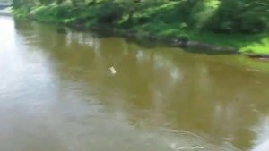 Правдинск. На пешеходном мосту через Лаву