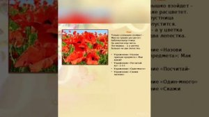 Презентация для детей 5 7 лет Цветы