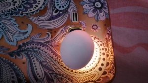 Птенцы кореллы. Разведение попугаев.