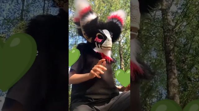 рапторы ВИДЕО НЕ МОИ