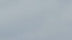 пермские красные голуби высоко лютые летают город Донецк