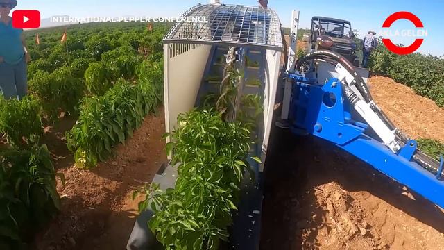Incredible Impressive Agriculture Machines and Tractors That Make Amazing Farming