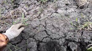 Древнее село!Поиск по старине!Коп 2023!Ищу клад!