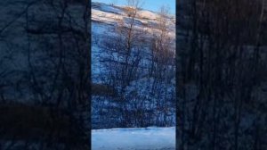 СЫНОК Зима,дороги