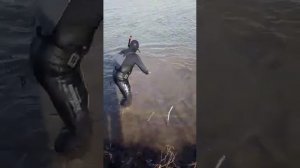 сом монстр чуть не утащил человека